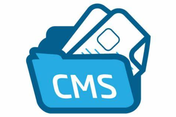 什么是大通cms,大通cms的特点与优势