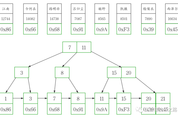 如何理解MySQL数据库中的ASE_排序规则？  第3张