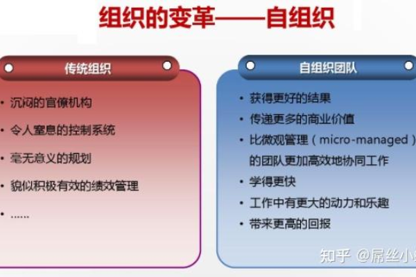 如何有效地添加和管理项目成员角色以提升团队协作？  第1张