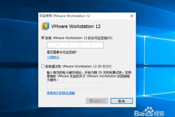 虚拟机测试套件中版本号信息是如何生成与维护的？