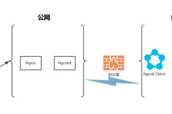 如何实现在仅有内网地址的应用服务器上成功订阅ngrok内网穿透服务？  第2张