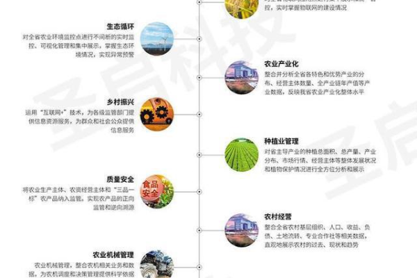 如何构建有效的企业网站建设与制度建设策略以促进农业开发公司的发展？