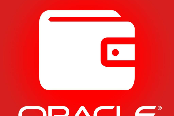 oracle服务器启动的有什么方法  第2张