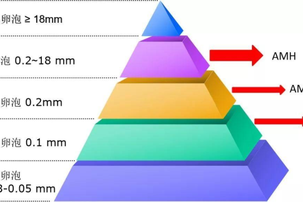 如何使用AMH快速搭建网站系统？