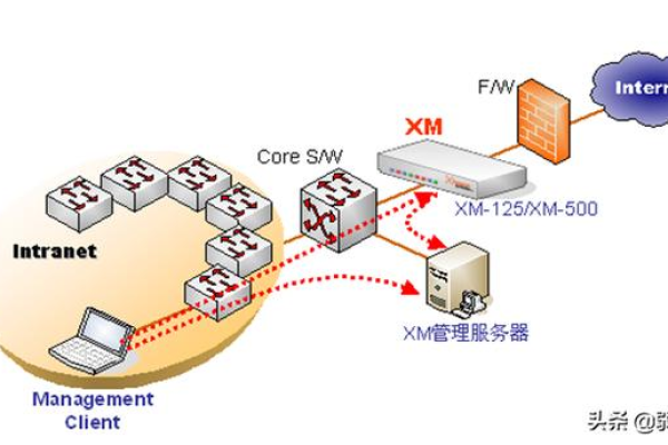 如何有效管理固定宽带流量与固定License以优化网络资源使用？