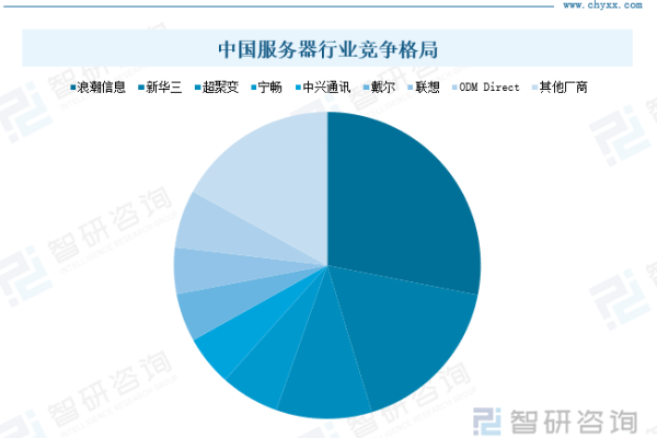 中国服务器市场竞争激烈，谁是国产品牌中的佼佼者？  第2张