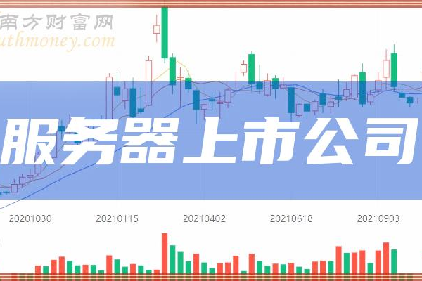 哪些股票代表了服务器品牌前十大排名？