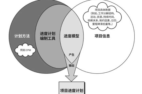 如何在开发过程中有效实施项目管理策略？