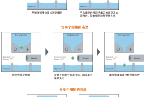 如何实现高效的屏幕克隆技术？  第1张