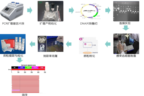 如何实现高效的屏幕克隆技术？  第3张