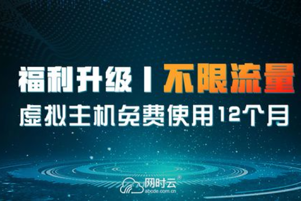 4G虚拟主机流量，您是否了解其使用限制？  第2张