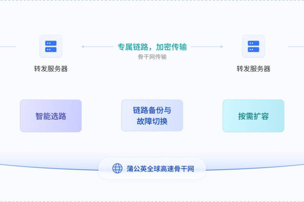 跨境直连技术，如何实现直连设备的高效接入？  第2张