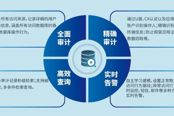 如何通过信息安全审计系统提高组织的数据保护能力？