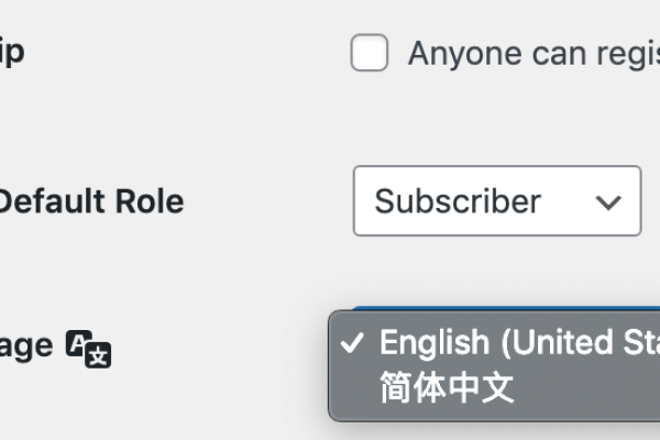 WordPress是否提供中文语言版本？  第3张