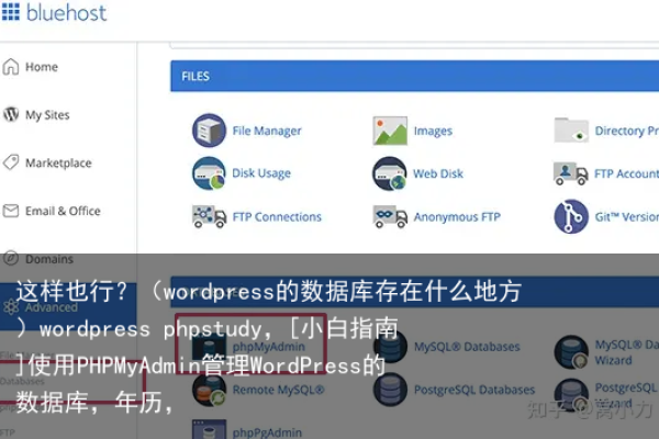 WordPress数据库存储位置解析，了解您的数据存放何处？