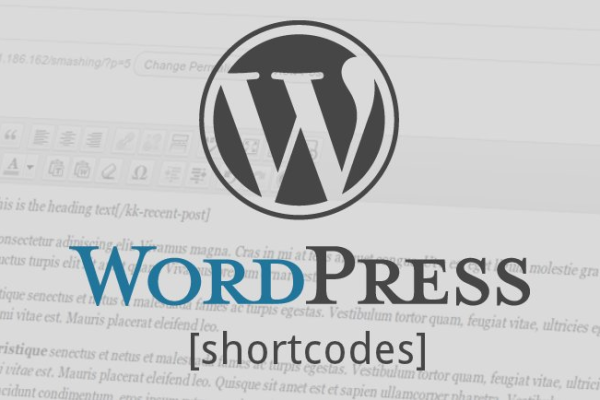 WordPress 是如何开发的？  第1张