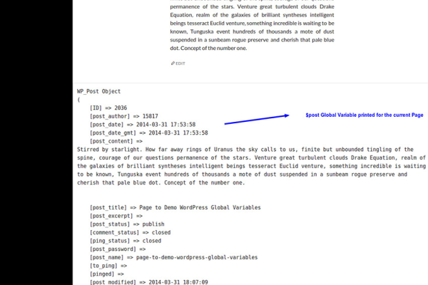 WordPress 全局变量入门，初学者如何掌握它们？  第3张