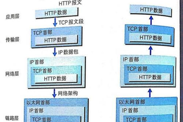 TCP客户端和服务器在网络通信中分别扮演什么角色？