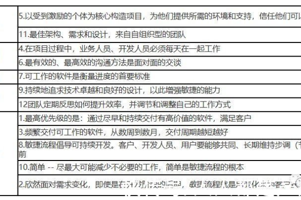 如何确保项目管理交付文档的高效性和完整性？  第3张