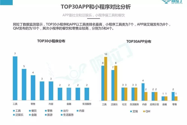 哪个小程序软件在容量排名中位居榜首？