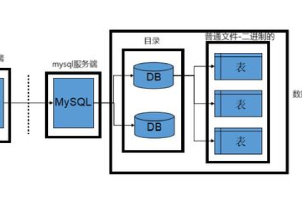 服务器内数据库是如何构建的？