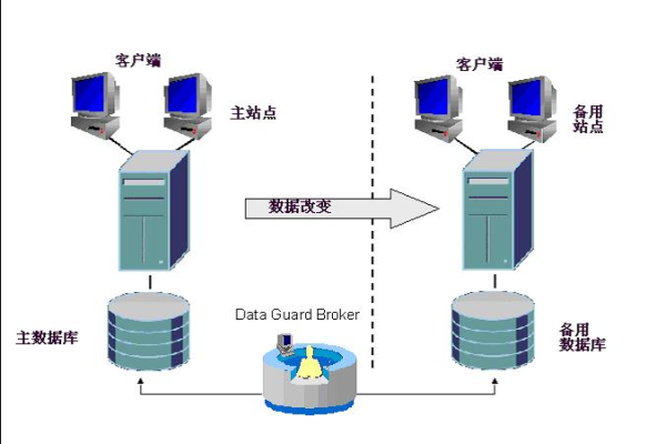 如何启动双采服务器的首个关键步骤是什么？  第3张