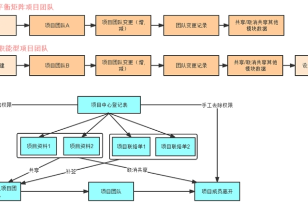 如何正确填写项目成员的角色分配？