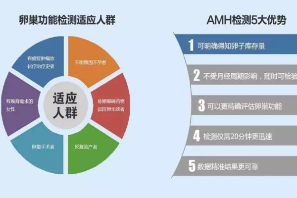 如何在香港使用AMH高效搭建网站？