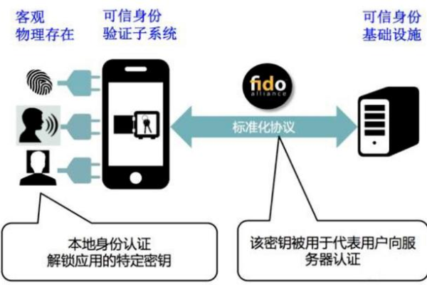 为什么鱼卡服务器需要验证用户身份信息？  第3张