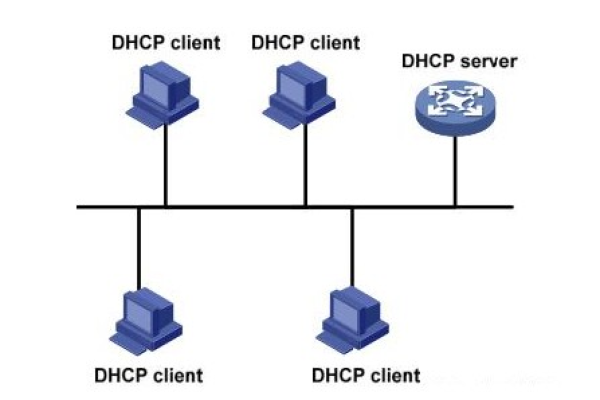 您是否想了解在网络连接中配置DHCP服务器的作用及其重要性？