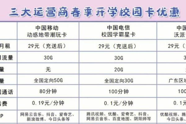 校园卡与流量卡，学生该如何做出明智的选择？