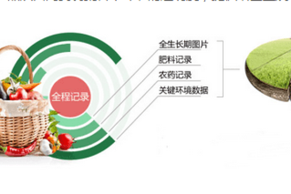 如何确保农产品网站的可信溯源策划成功？