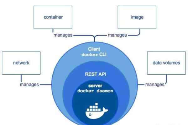 如何利用Docker构建高效解决方案？