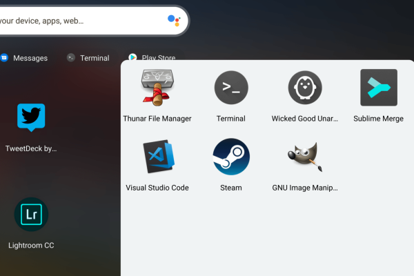 如何在Linux系统上安装和使用Chrome浏览器？