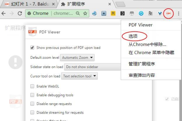 Chrome PDF Viewer API，如何使用及功能详解？  第2张