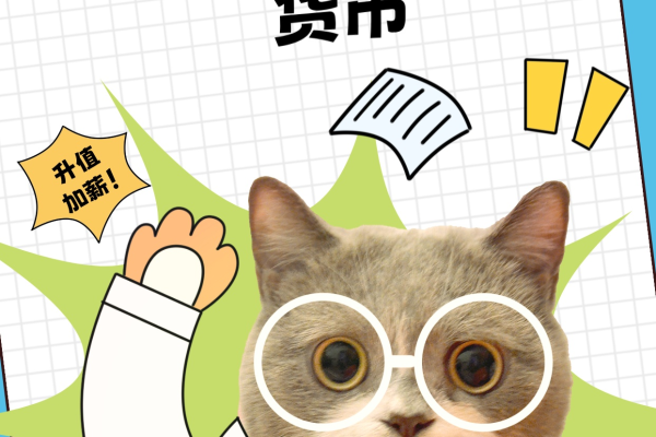 cdn的猫，这是一只怎样的猫？它有什么特别之处？  第1张