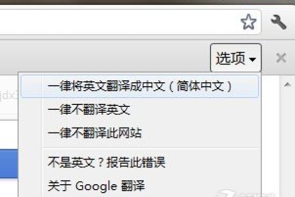 chrome 国外网站怎么翻译  第2张