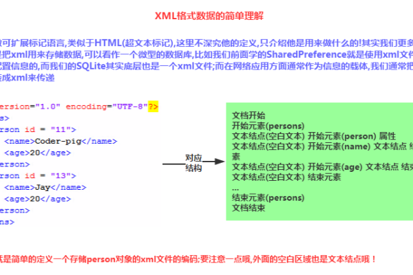 XML文档，探索其类型和结构的重要性