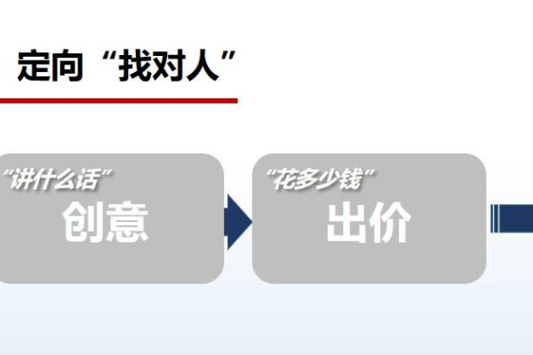 如何通过SEM投放策略实现业绩翻倍并精准定位目标用户？  第2张