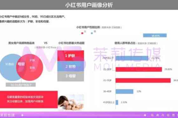 品牌如何利用小红书数据分析挖掘爆款产品机会？  第1张