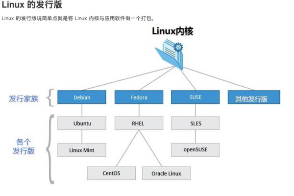 Chrom浏览器在Linux系统上的表现如何？  第2张