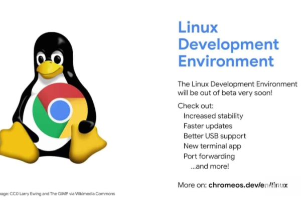 如何启动Chrome Linux？详细步骤解析！  第2张