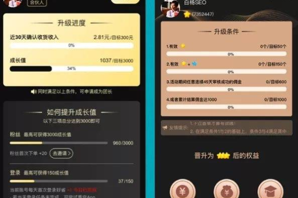 如何通过知识付费实现业余收入？白杨SEO分享实战案例解析