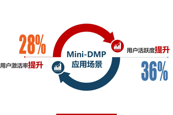 如何有效利用DMP自定义人群以降低转化成本？