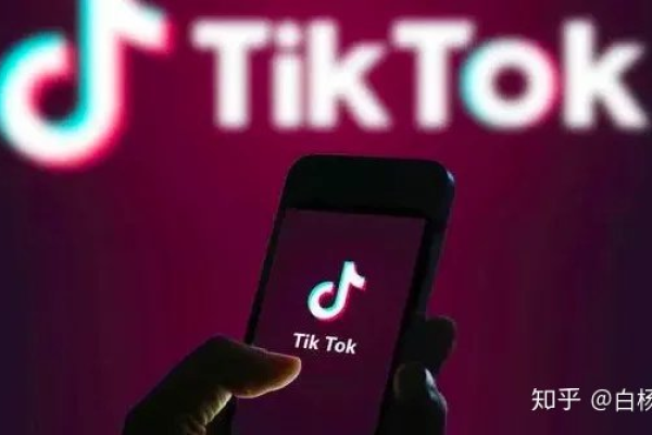 白杨SEO分析，TikTok如何从流量角度影响国际市场？  第2张