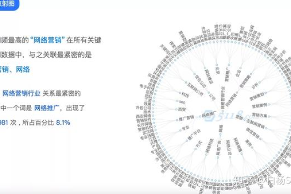 白杨SEO如何通过专长在知识星球上实现变现？实战分享与技巧解析