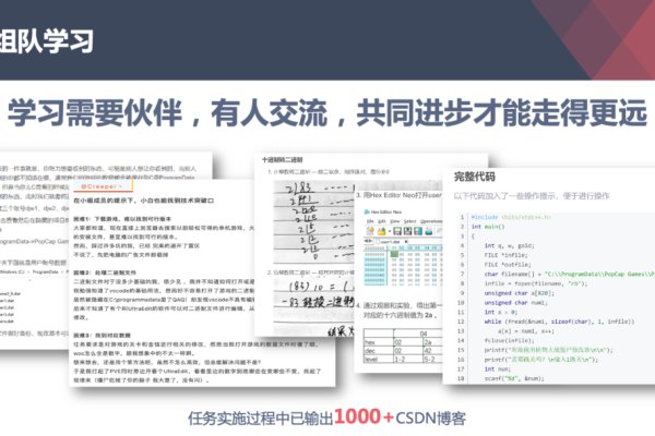 CSDN源码分享，如何高效利用这些资源提升编程技能？