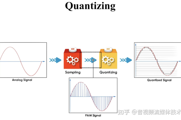 PCM与源码，它们在数字音频技术中扮演什么角色？