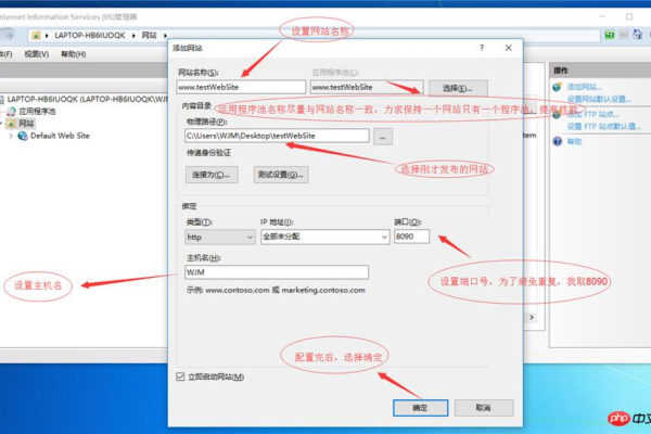 如何获取和利用ASP.NET论坛源码进行网站开发？