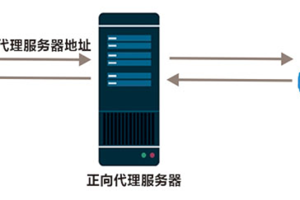 什么是反向代理服务器及其工作原理？  第3张